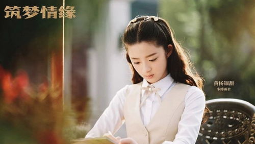 《筑梦情缘》演员表曝光！哪些小演员在剧中崭露头角？