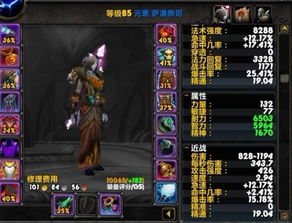 如何选择最适合的元素萨满附魔? 如何选择最适合的元素萨满附魔?