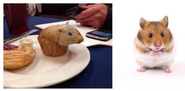 探秘仓鼠蛋糕工厂内置MOD:如何通过定制化的工作环境提高工作效率? 探秘仓鼠蛋糕工厂内置MOD:如何通过定制化的工作环境提高工作效率?