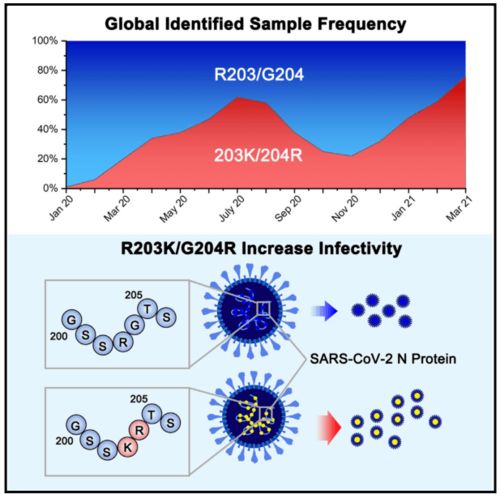 探秘微观生物：真菌世界攻略16关详细解析与闯关指南