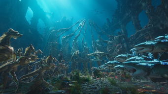 海底奇观：奥丘树海最强阵容全揭秘