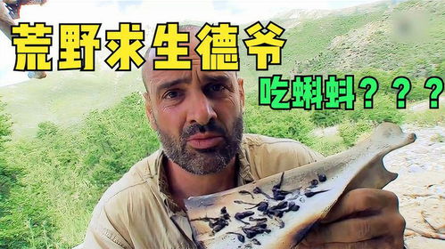 在挨饿荒野中如何打败蛇? 在挨饿荒野中如何打败蛇?