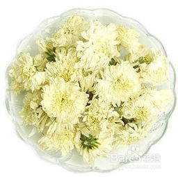 青箱子的功效与作用:降火解毒,清热解毒,清肝明目,主治各种感冒症状 青箱子的功效与作用:降火解毒,清热解毒,清肝明目,主治各种感冒症状