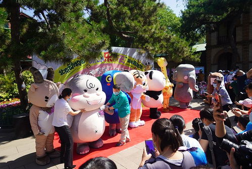 星天乐园超人熊主题乐园的创新设计与操作模式分析，给游客带来独特游乐体验