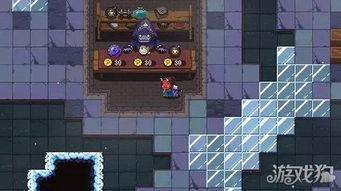 探索元素之谜：地牢天需网络下载指南