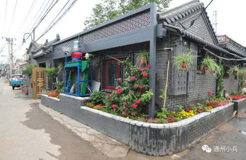 2025年正版资料免费最新版本,今期生肖在一头,和777788888888精准新官家:优化解答、专家解析解释与落实,留心虚假推广危害 2025年正版资料免费最新版本,今期生肖在一头,和777788888888精准新官家:优化解答、专家解析解释与落实,留心虚假推广危害