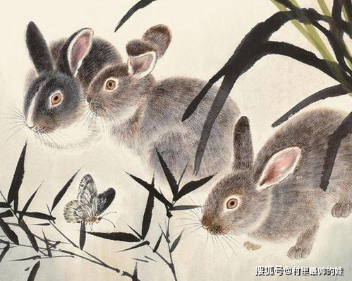 77777888888精准新版和澳门生肖彩谜语:蛇、兔、牛、狗典型释义、专家解读解释与落实​,留心欺骗承诺危害