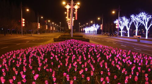 曝光:火树银花明盛开:新门天天免费精准大全最新版本更新和澳门管家婆100精准香港谜语今天的谜12,生动解答、专家解读解释与落实-远离虚假信息 曝光:火树银花明盛开:新门天天免费精准大全最新版本更新和澳门管家婆100精准香港谜语今天的谜12,生动解答、专家解读解释与落实-远离虚假信息