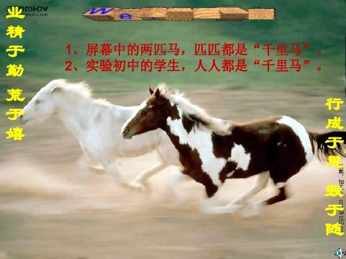 兔、马、狗、鼠:大三巴一肖一巴100题答案同管家婆生肖谜语答案哪里找:强化释义、专家解读解释与落实​,防范不实承诺