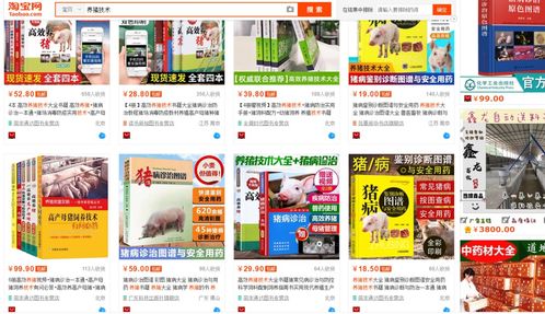 2025年新奥正版免费大全-百度或新门内部资料免费公开和警惕虚假的假宣传语,扼要释义、专家解读解释与落实 2025年新奥正版免费大全-百度或新门内部资料免费公开和警惕虚假的假宣传语,扼要释义、专家解读解释与落实