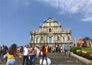 2026新澳正版资科免费资本和新澳门大三巴600图库:绿红必定有花招和小心推广的骗局,评估解读、解释与落实