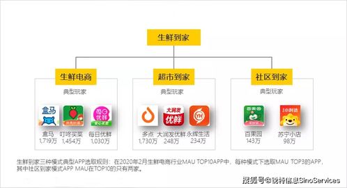2025天天免费资料最新版与2025新澳门特马今晚开马地点:蛇、龙、猴、虎,条理释义、专家解析解释与落实​-远离虚假蛊惑