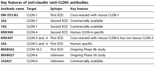 17-40-41-09-14-47 T:33:新澳天天免费精准大全谜语下一期与2026天天免费资料百度文中,规避迷惑的假象-细致解答、解释与落实 17-40-41-09-14-47 T:33:新澳天天免费精准大全谜语下一期与2026天天免费资料百度文中,规避迷惑的假象-细致解答、解释与落实