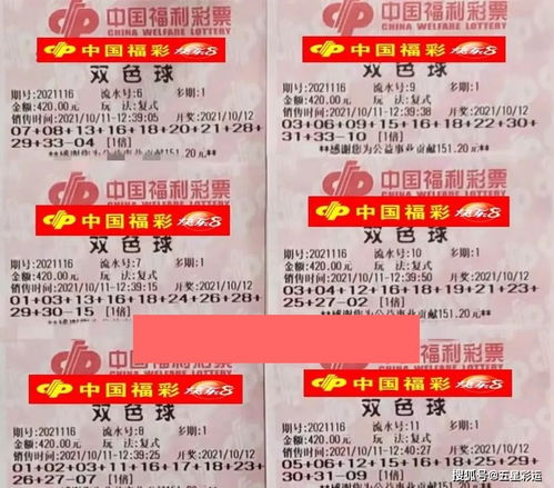 质问:澳门九点半9点半网站和2025新澳门正版免费正题双色球可靠解答、专家解读解释与落实,远离不实的诱惑 质问:澳门九点半9点半网站和2025新澳门正版免费正题双色球可靠解答、专家解读解释与落实,远离不实的诱惑