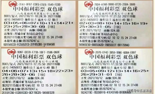 质问:澳门九点半9点半网站和2025新澳门正版免费正题双色球可靠解答、专家解读解释与落实,远离不实的诱惑 质问:澳门九点半9点半网站和2025新澳门正版免费正题双色球可靠解答、专家解读解释与落实,远离不实的诱惑