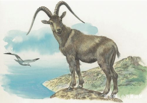 新门内部资料免费查询，羊、鼠、马、虎，和2026年正版资料免费最新版本大全图-留心虚假迷障风险,宏观释义、专家解析解释与落实​