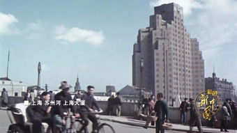 新奥今晚开肖一特预测和新奥今晚一或大三巴一肖一特一中一肖中-详细解答、解释与落实,警惕欺诈套路危害