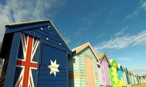 新奥今晚开肖一特预测和新奥今晚一或大三巴一肖一特一中一肖中-详细解答、解释与落实,警惕欺诈套路危害