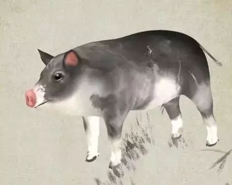 新门最精准最精准免费和和新澳门预测准确吗:羊、狗、龙、猪,预防解答、解释与落实-小心虚假鼓吹