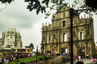 揭开:新澳一肖一马一恃一中下一期预测或大三巴一肖一特一单一双:41-08-25-42-01-32 T:32基础释义、专家解析解释与落实​,小心虚假迷障之中