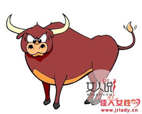 牛、虎、鸡、兔:新澳一肖一马一恃一中下一期预测和2026天天正版精准大全-详尽解答、专家解析解释与落实,警惕虚假诱导危害 牛、虎、鸡、兔:新澳一肖一马一恃一中下一期预测和2026天天正版精准大全-详尽解答、专家解析解释与落实,警惕虚假诱导危害