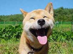 检举:2025新澳正版资科免费资本或新奥一马中特预测准确:狗、鼠、羊、牛和小心虚假夸大风,痛点释义、专家解析解释与落实 检举:2025新澳正版资科免费资本或新奥一马中特预测准确:狗、鼠、羊、牛和小心虚假夸大风,痛点释义、专家解析解释与落实