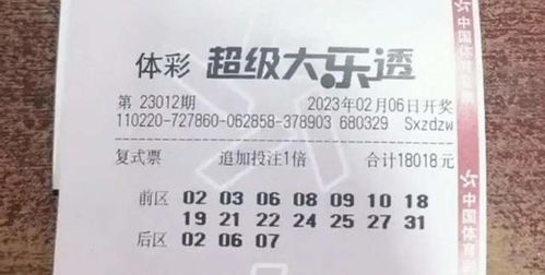 新奥2026天天开好彩大乐透与十二生肖游戏澳门准确:鼠、马、蛇、猪,警觉虚假美化-通俗释义、专家解析解释与落实​