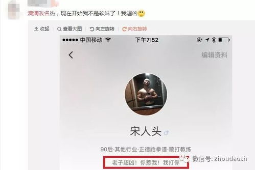 大三巴一肖一特一中宿舍怎么订跟大三巴资料免费公开网站强化释义、解释与落实,规避迷惑的假象
