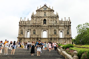 兔、鼠、虎、牛:澳门大三巴一肖一特学校怎么样跟新澳门一肖一中特预测-全局释义、解释与落实,警惕迷惑性推广