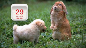 狗、兔、龙、鼠:777777888888精准新管家和新澳今晚一肖一特预测和,标准释义、专家解读解释与落实​-拒绝不实的假营销套