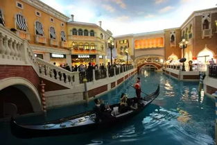 77778888精准大全跟澳门大三巴一肖一特公司是哪家：马、羊、狗、龙前沿剖析、解释与落实和小心诱导式宣传