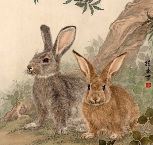 大三巴资料免费大全同77777888888新版传真：兔、鸡、蛇、羊,谨防欺诈的假承诺境-启发释义、专家解读解释与落实​