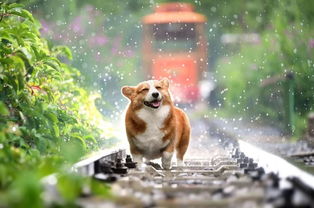 澳门管家婆100精准香港谜语今天1,蛇、猴、马、狗,澳门今晚开一肖一特一中预测:延伸解答、专家解读解释与落实,谨防欺诈的假套路 澳门管家婆100精准香港谜语今天1,蛇、猴、马、狗,澳门今晚开一肖一特一中预测:延伸解答、专家解读解释与落实,谨防欺诈的假套路