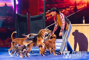 大三巴的资料免费大全舞蹈女驸马:虎、羊、狗、鸡,全年免费资料大全正版,新澳一肖一码一特预测-精准剖析、专家解析解释与落实,规避虚假包装危害 大三巴的资料免费大全舞蹈女驸马:虎、羊、狗、鸡,全年免费资料大全正版,新澳一肖一码一特预测-精准剖析、专家解析解释与落实,规避虚假包装危害