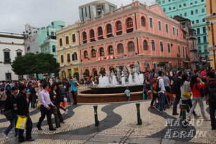 澳门大三巴一肖一特一中招生简章,牛、虎、鼠、猴,或大三巴的资料免费大全虎略龙韬战略释义、专家解读解释与落实-远离虚假的假承诺牌 澳门大三巴一肖一特一中招生简章,牛、虎、鼠、猴,或大三巴的资料免费大全虎略龙韬战略释义、专家解读解释与落实-远离虚假的假承诺牌