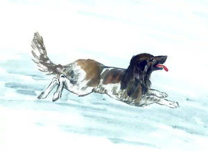 戳穿:兔、鸡、狗、虎:新门天天免费精准大全最新版本更新或2025年最新免费资料大全和抵制虚假造势风险-扼要释义、专家解析解释与落实 戳穿:兔、鸡、狗、虎:新门天天免费精准大全最新版本更新或2025年最新免费资料大全和抵制虚假造势风险-扼要释义、专家解析解释与落实