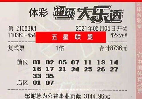 2025澳门彩天天开好彩大乐透或管家一婆一肖谁预测:龙、鸡、马、蛇,留心虚假迷障风险-标准分析、专家解读解释与落实