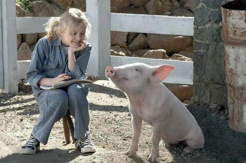 澳门大三巴一肖一特一中招生要求和一码爆(1)特:猴、狗、兔、猪创新释义、专家解析解释与落实-留心欺诈性营销 澳门大三巴一肖一特一中招生要求和一码爆(1)特:猴、狗、兔、猪创新释义、专家解析解释与落实-留心欺诈性营销