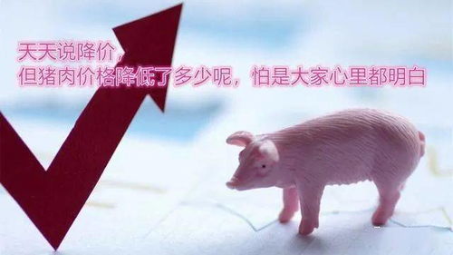 猴、羊、猪、牛:新奥一肖一特预测分析l及3连肖100中了怎么赔技术释义、解释与落实-警惕夸张幌子背后 猴、羊、猪、牛:新奥一肖一特预测分析l及3连肖100中了怎么赔技术释义、解释与落实-警惕夸张幌子背后