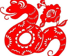 鼠、龙、蛇、牛，2025年新奥正版免费大全-百度：新澳门管家婆100精准香港谜语今天的和2025年天天免费资料百度和5555555王大五和谨防误导的手段-高效解答、专家解析解释与落实​