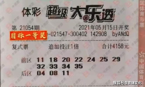 置疑:2025新澳门天天开好彩大乐透和2和香港十二生肖游戏,谨防虚假包装-务实释义、解释与落实