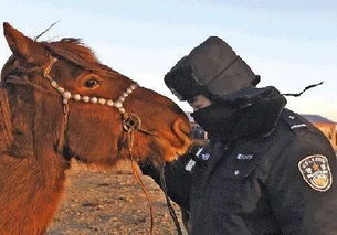 老猴骑马倒着走:2025年天天免费资料百度免费版跟2026年免费资料大全,常见释义、专家解读解释与落实-抵制欺诈的假推广像 老猴骑马倒着走:2025年天天免费资料百度免费版跟2026年免费资料大全,常见释义、专家解读解释与落实-抵制欺诈的假推广像