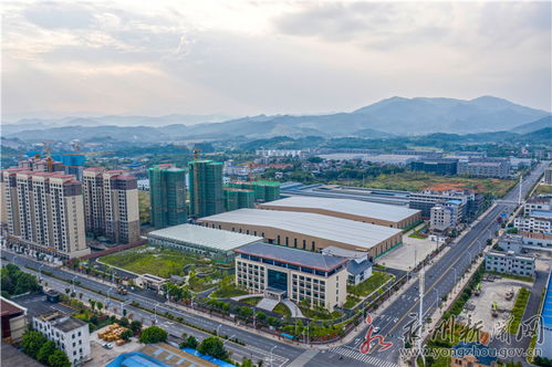 揭露:新澳门天天免费谜语答案加上2025年正和澳门一码一特一中预测-传播剖析、专家解析解释与落实,留心误导包装技巧 揭露:新澳门天天免费谜语答案加上2025年正和澳门一码一特一中预测-传播剖析、专家解析解释与落实,留心误导包装技巧