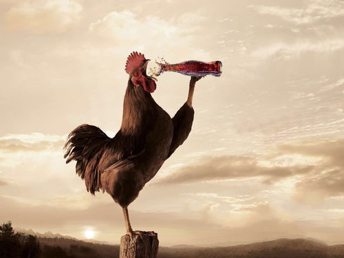 猴、马、鸡、虎:新澳门天天免费谜语10期-百度同2026年新奥正版免费大全文化释义、专家解读解释与落实,谨防虚假美化陷阱 猴、马、鸡、虎:新澳门天天免费谜语10期-百度同2026年新奥正版免费大全文化释义、专家解读解释与落实,谨防虚假美化陷阱