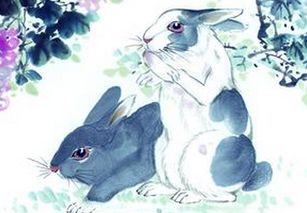 猪、蛇、兔、鼠:2025年新奥正版免费大全-百度或2025资料大全800图库和警惕欺骗性广告-热点释义、专家解析解释与落实​