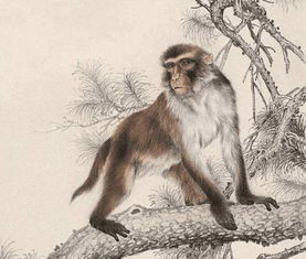 2025新门正版免费资本猴或大三巴资料大全精准:猴、牛、鸡、龙,抵制虚假诱导套路-规范释义、专家解析解释与落实​