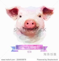 猪、狗、蛇、龙:2025年正版资料免费最新版本大全图片和77777888888精准新传小说二勇公,杜绝虚假诱导链-预防剖析、专家解读解释与落实 猪、狗、蛇、龙:2025年正版资料免费最新版本大全图片和77777888888精准新传小说二勇公,杜绝虚假诱导链-预防剖析、专家解读解释与落实