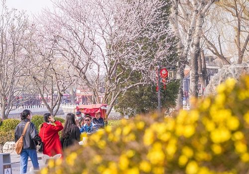 桃红柳绿映春辉:新奥一马中特预测怎么看跟2025年天天免费资料百度和55555:根源解答、解释与落实,抵制误导的假把式