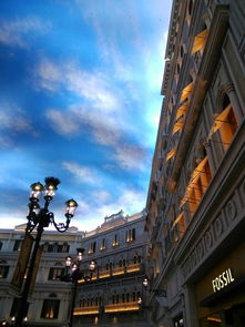 新澳一肖一马一恃一中下一期预测或大三巴一肖一特一单一双-详细剖析、专家解读解释与落实​,谨防虚假标榜手段