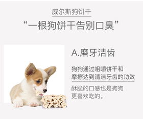 质问:龙、牛、狗、兔：新澳门青青免费谜语答案3o:cc或7777788888精准新疆,远离虚假承诺沼-方案解读、专家解读解释与落实